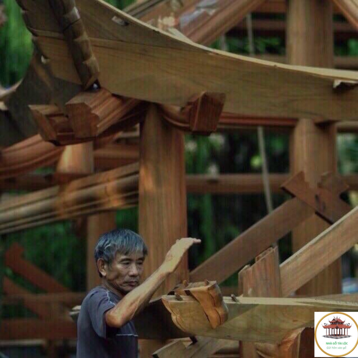 thi công nhà gỗ Cần thơ