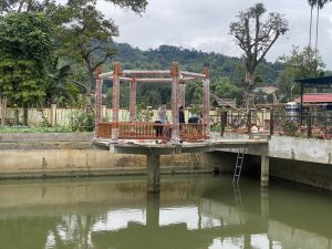 Hoàn thiện nhà gỗ tại Bà Rịa - Vũng Tàu